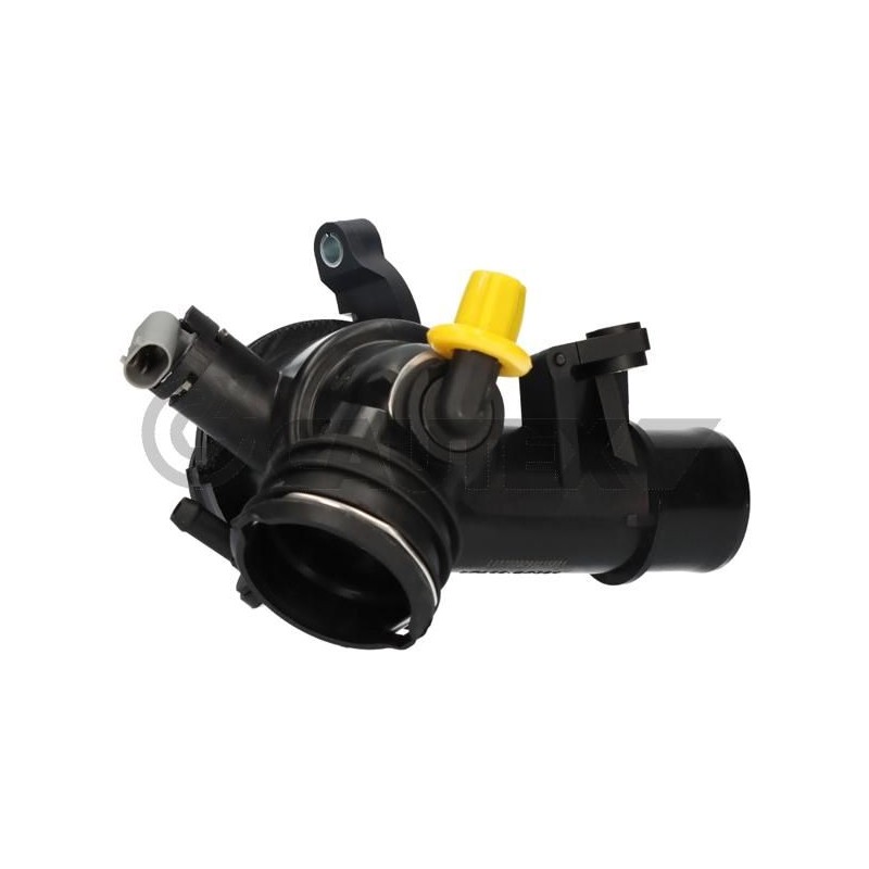 CAUTEX 750808 Caja del termostato