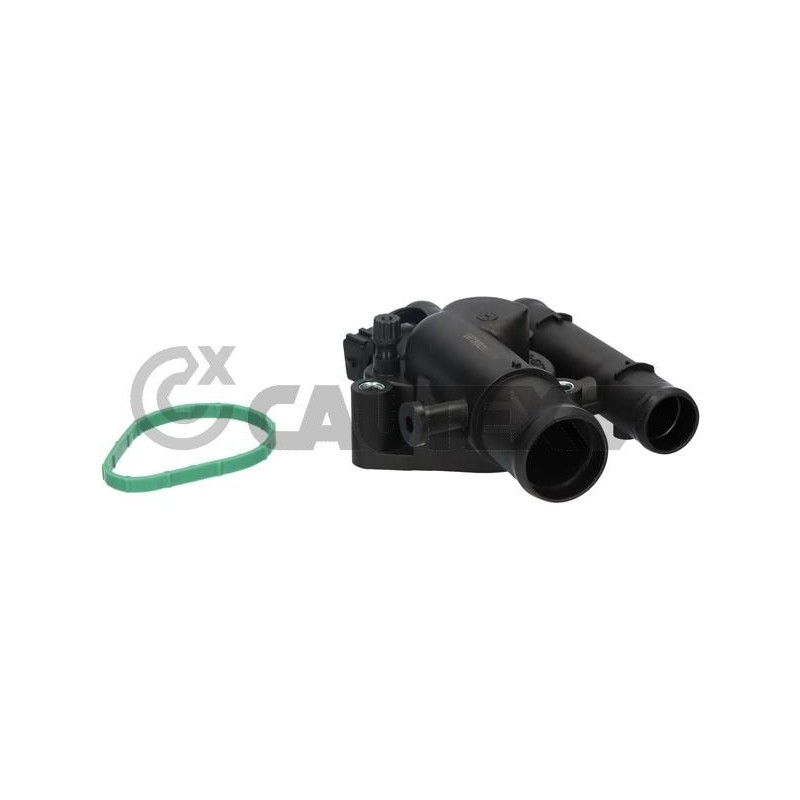 CAUTEX 756877 Termostato, refrigerante