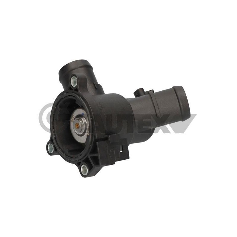 CAUTEX 772166 Termostato, refrigerante