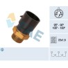 FAE 38020 Interruptor de temperatura, ventilador del radiador