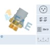 FAE 38160 Interruptor de temperatura, ventilador del radiador
