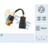 FAE 38220 Interruptor de temperatura, ventilador del radiador