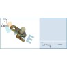 FAE 67220 Interruptor, contacto de puerta
