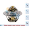 FAE 5201782 Termostato, refrigerante