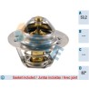 FAE 5202482 Termostato, refrigerante