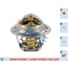 FAE 5202785 Termostato, refrigerante