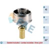 FAE 5202883 Termostato, refrigerante