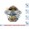 FAE 5202983 Termostato, refrigerante