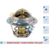 FAE 5202987 Termostato, refrigerante