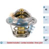 FAE 5202992 Termostato, refrigerante