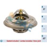 FAE 5204485 Termostato, refrigerante
