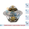 FAE 5204783 Termostato, refrigerante