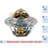 FAE 5204787 Termostato, refrigerante