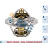 FAE 5205287 Termostato, refrigerante