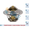 FAE 5205383 Termostato, refrigerante