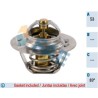 FAE 5205683 Termostato, refrigerante