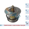 FAE 5302882 Termostato, refrigerante