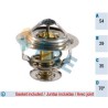FAE 5303876 Termostato, refrigerante