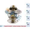 FAE 5304383 Termostato, refrigerante