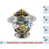 FAE 5304783 Termostato, refrigerante
