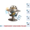 FAE 5305188 Termostato, refrigerante