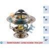 FAE 5305283 Termostato, refrigerante