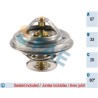 FAE 5305380 Termostato, refrigerante