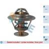 FAE 5305788 Termostato, refrigerante