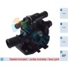 FAE 5306383 Termostato, refrigerante