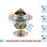 FAE 5307688 Termostato, refrigerante
