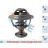 FAE 5322576 Termostato, refrigerante