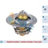 FAE 5323282 Termostato, refrigerante