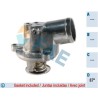 FAE 5345187 Termostato, refrigerante