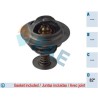 FAE 5345982 Termostato, refrigerante