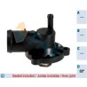 FAE 5352088 Termostato, refrigerante