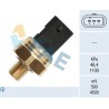 FAE 15613 Sensor, presión de aceite