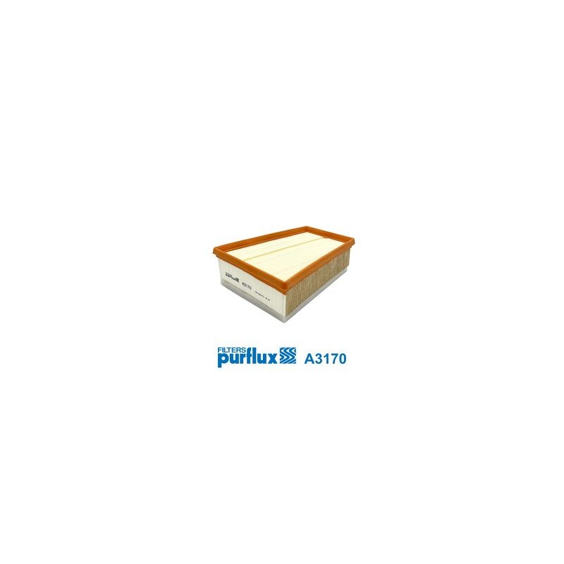 PURFLUX A3170 Filtro de aire