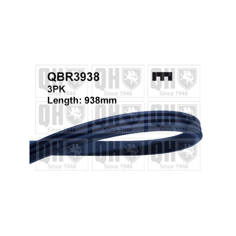 QUINTON HAZELL QBR3938 Correa trapecial poli V