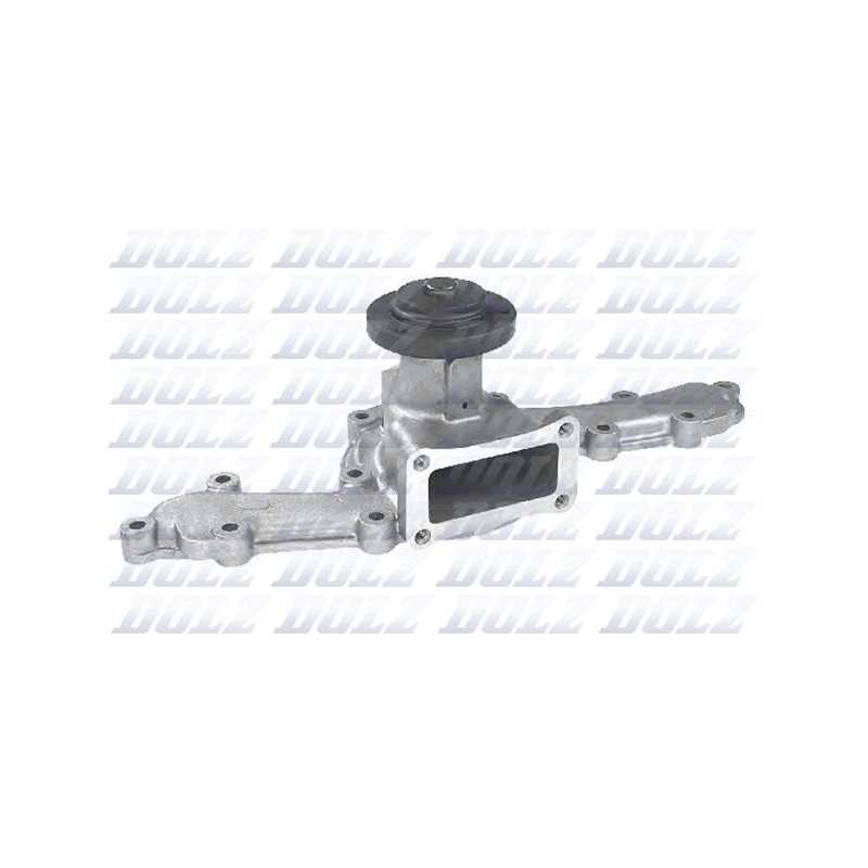 DOLZ A148 Bomba de agua, refrigeración del motor