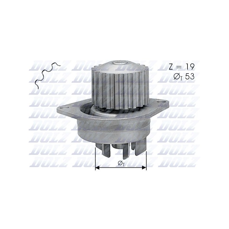 DOLZ C113 Bomba de agua, refrigeración del motor