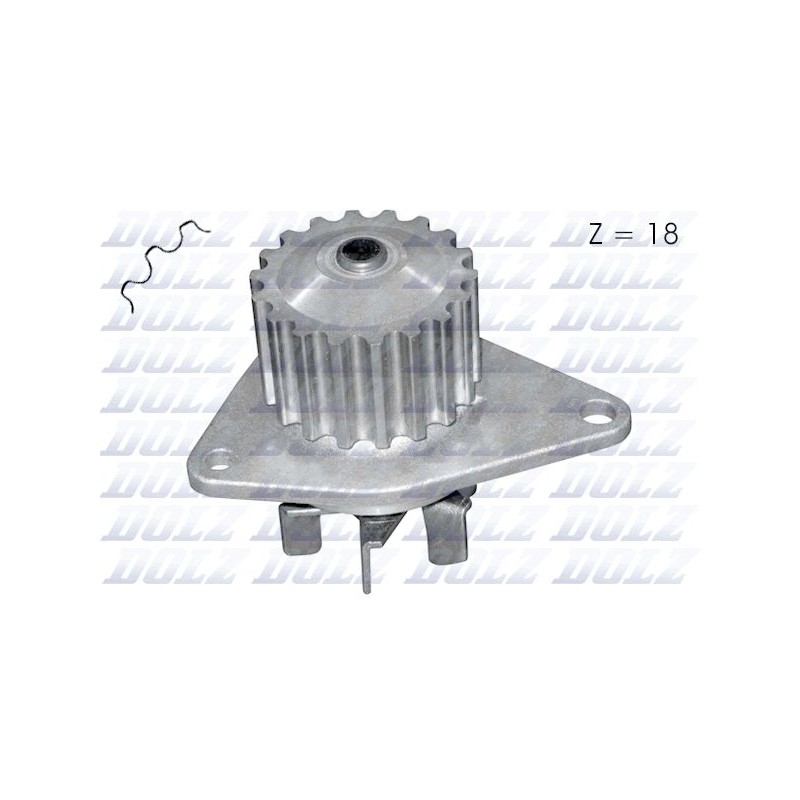 DOLZ C134 Bomba de agua, refrigeración del motor
