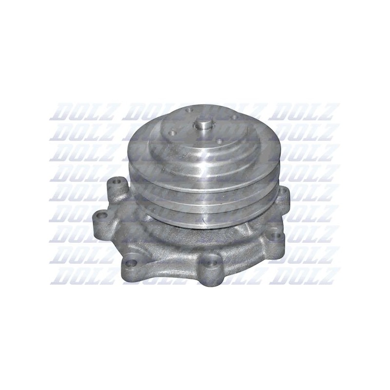 DOLZ F123 Bomba de agua, refrigeración del motor