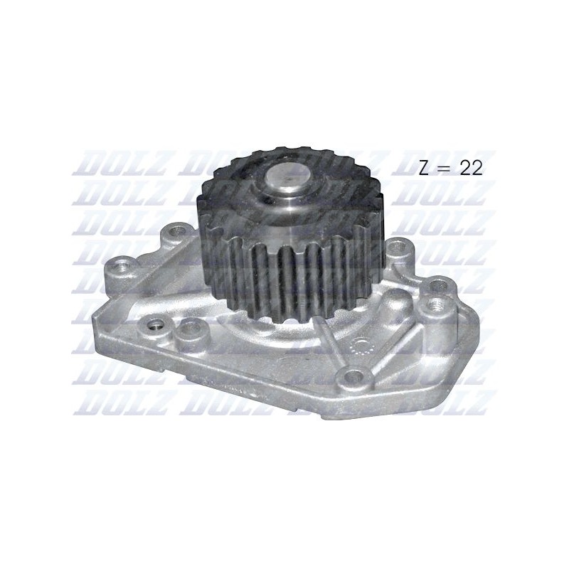 DOLZ H125 Bomba de agua, refrigeración del motor