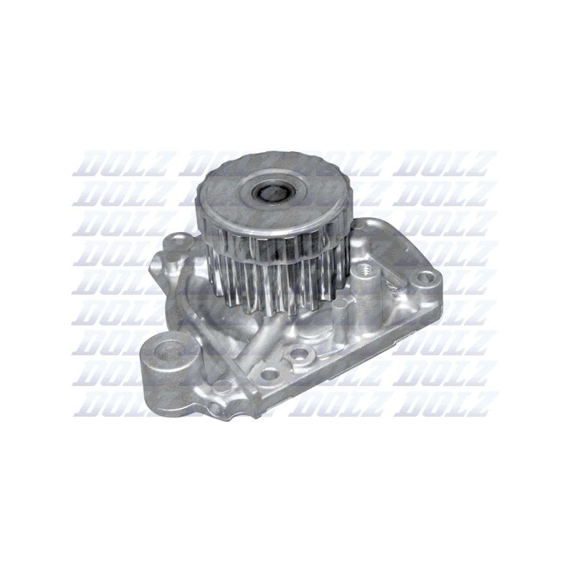 DOLZ H133 Bomba de agua, refrigeración del motor