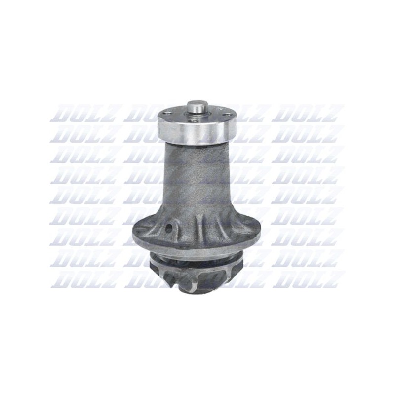 DOLZ M183 Bomba de agua, refrigeración del motor