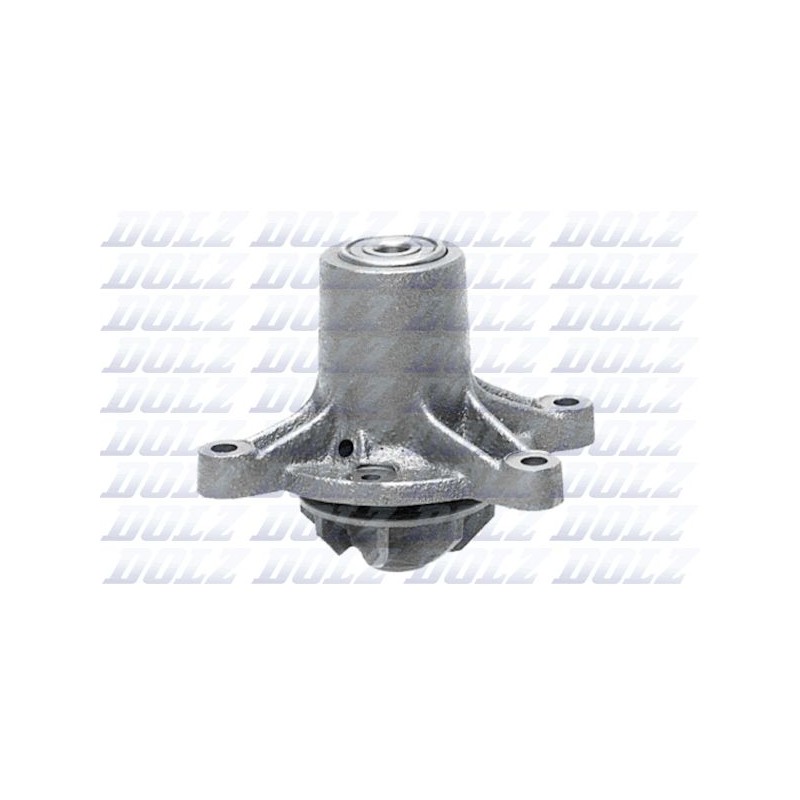DOLZ M189 Bomba de agua, refrigeración del motor