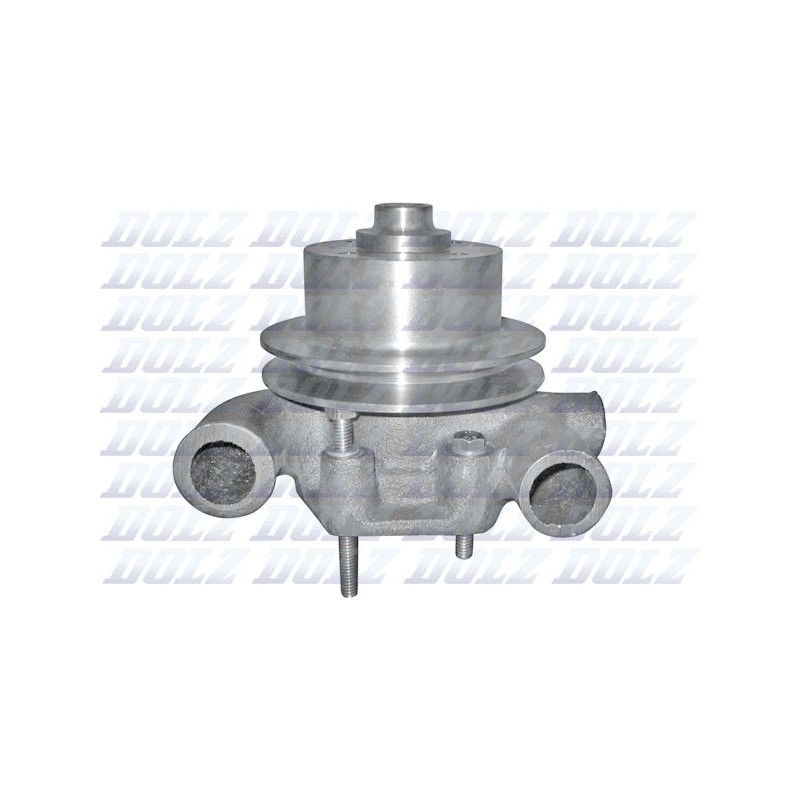 DOLZ P319 Bomba de agua, refrigeración del motor