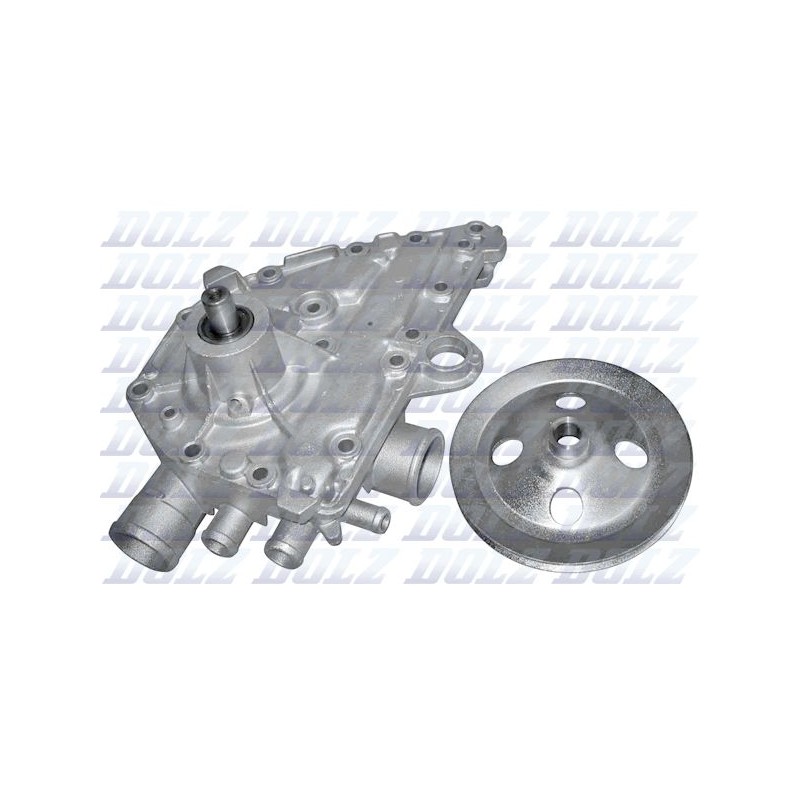 DOLZ R138 Bomba de agua, refrigeración del motor
