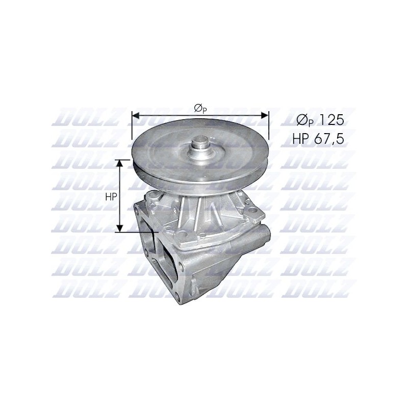 DOLZ S124 Bomba de agua, refrigeración del motor