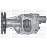 DOLZ S125 Bomba de agua, refrigeración del motor